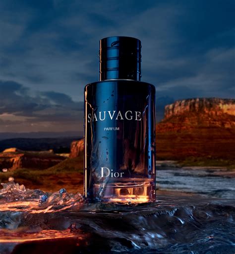 dior suvare|Dior Sauvage best price.